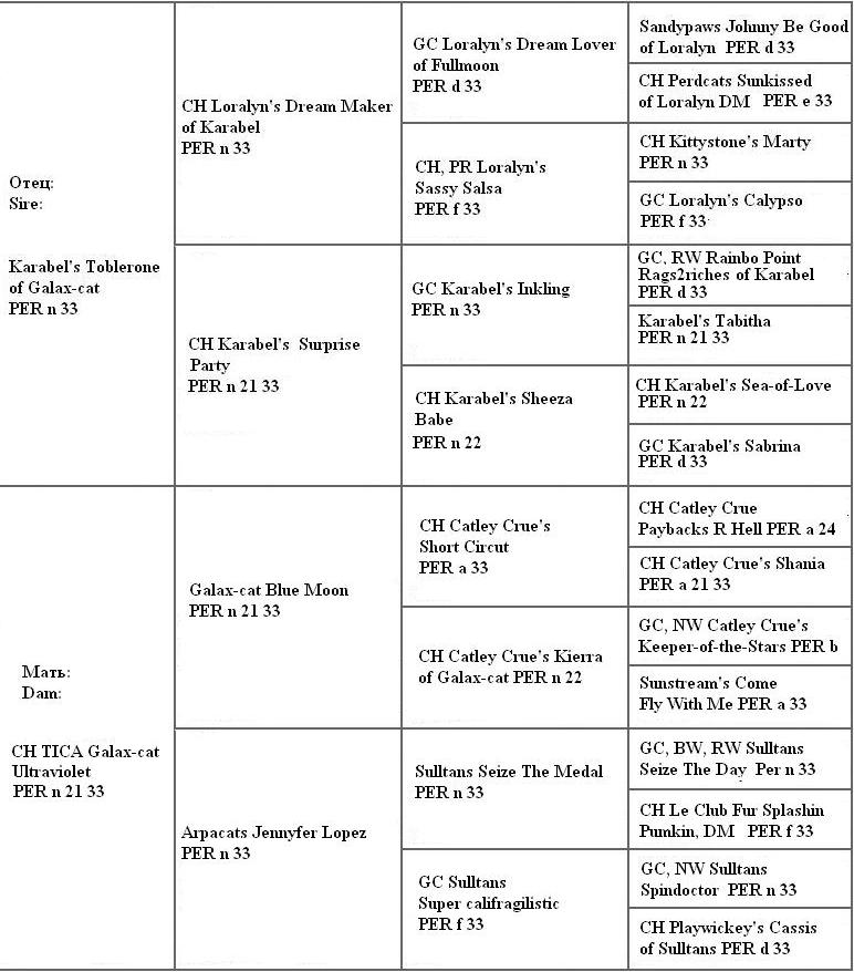 Pedigree GALAX-CAT-RIHANNA PER
