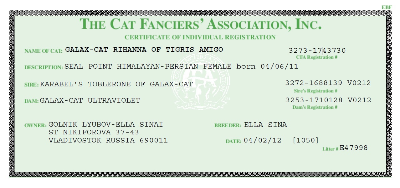 Pedigree GALAX-CAT-RIHANNA PER