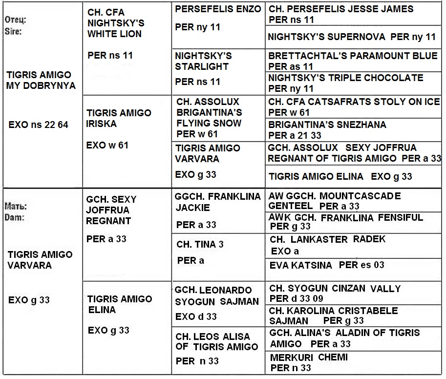 Pedigree TIGRIS AMIGO MILANA